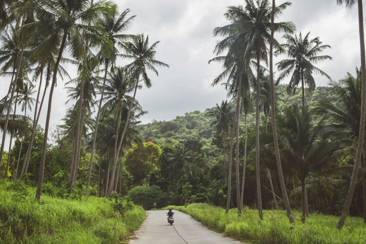 The Hopeful Future Of Carbon Trading (How The Very Rich Get Much Richer)